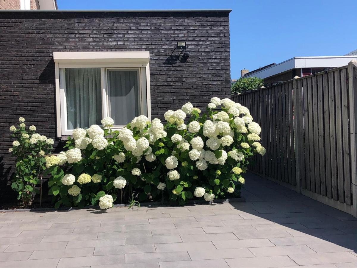 Zoutelande Koddelaan Vakantiewoning エクステリア 写真
