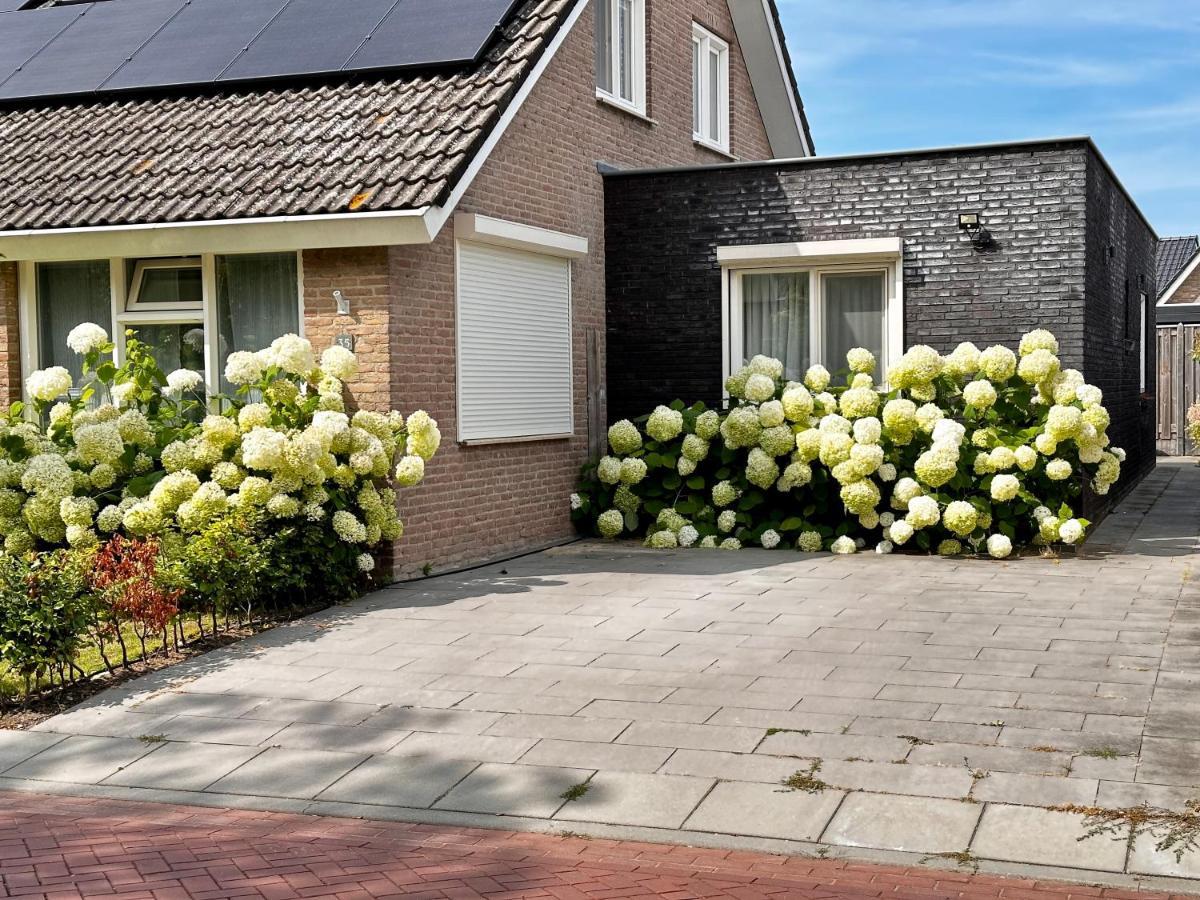 Zoutelande Koddelaan Vakantiewoning エクステリア 写真