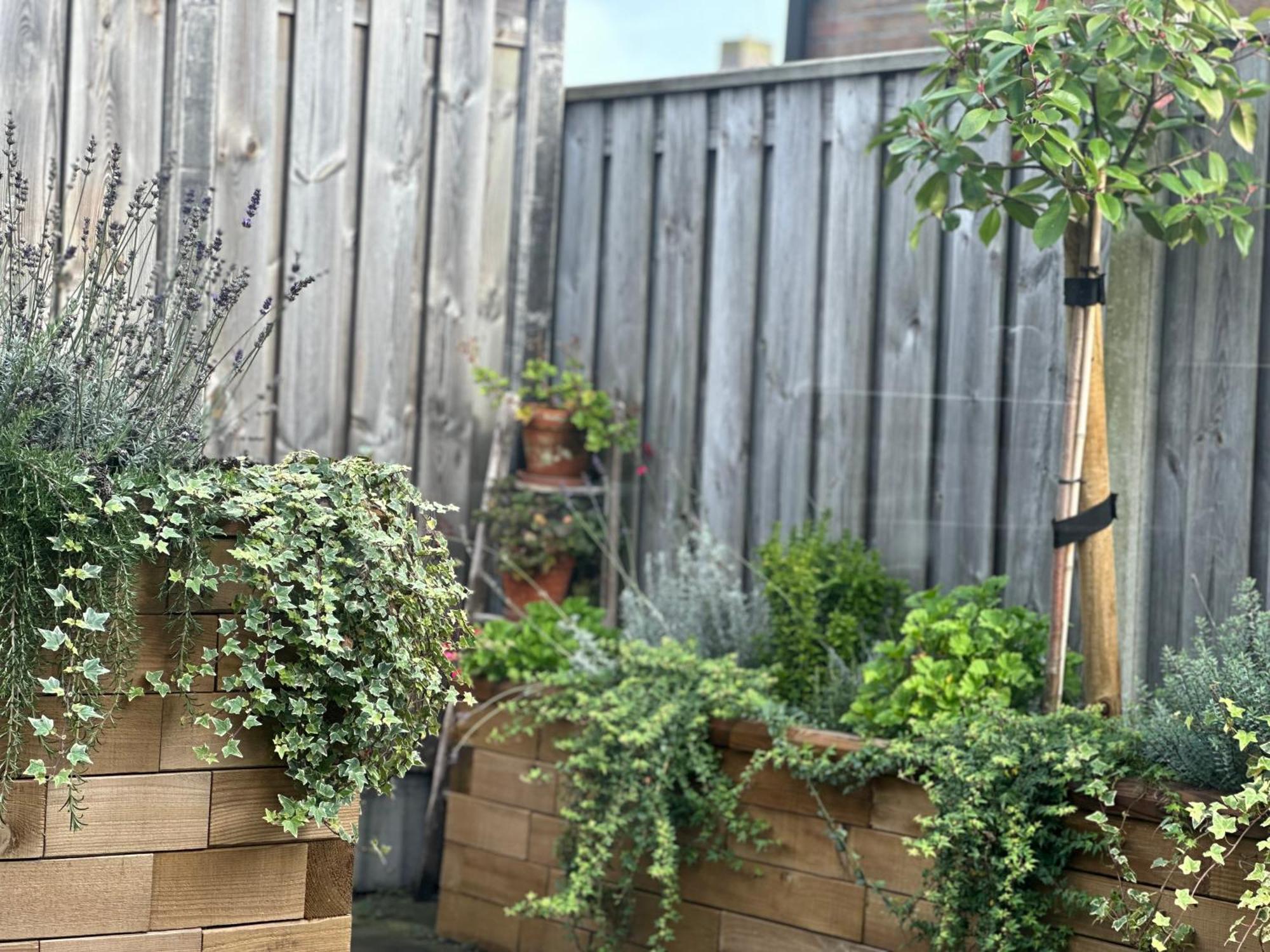 Zoutelande Koddelaan Vakantiewoning エクステリア 写真