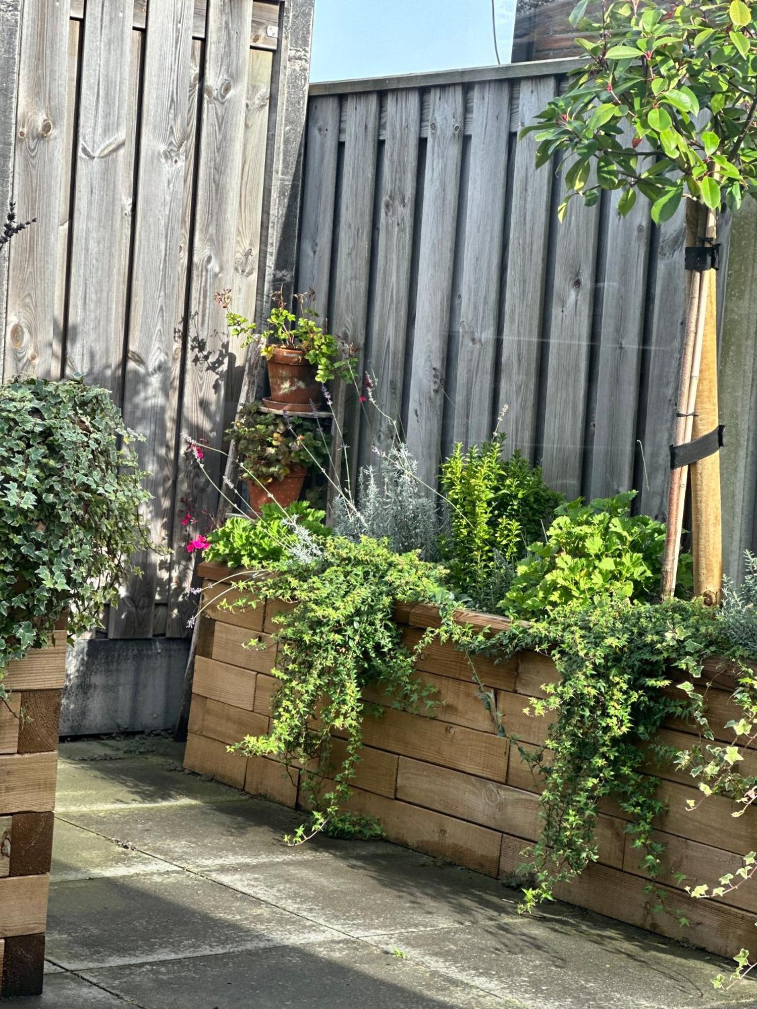 Zoutelande Koddelaan Vakantiewoning エクステリア 写真