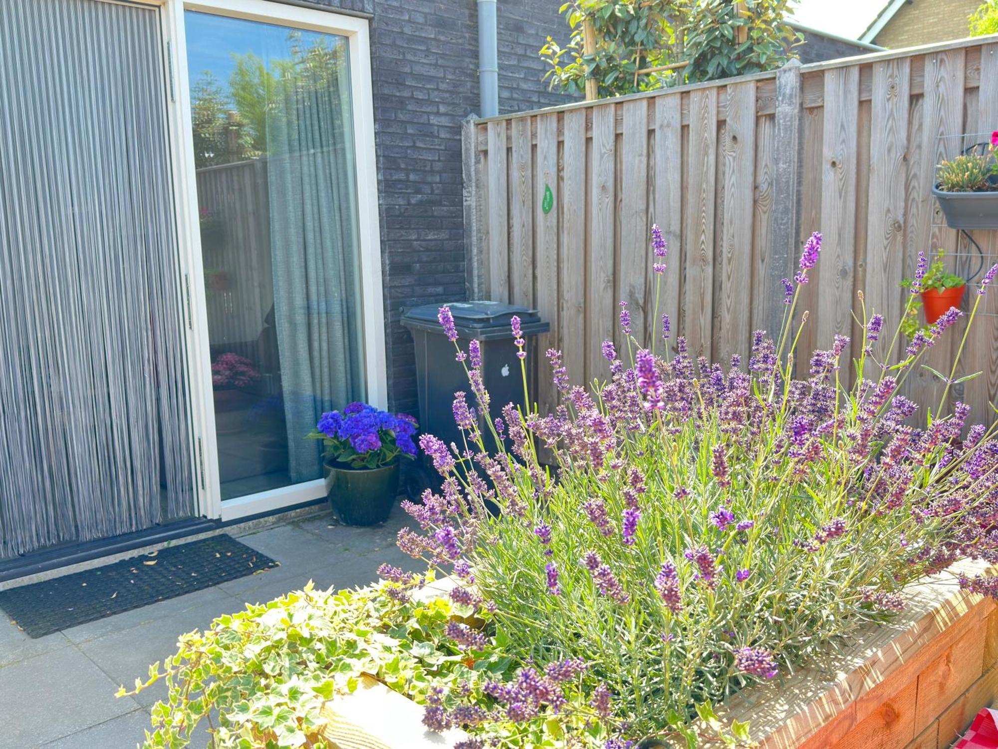Zoutelande Koddelaan Vakantiewoning エクステリア 写真