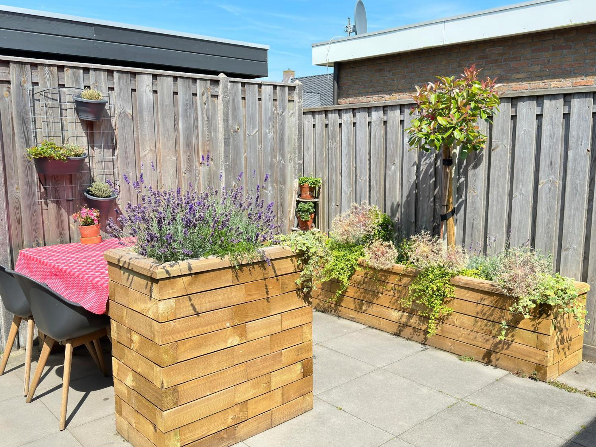Zoutelande Koddelaan Vakantiewoning エクステリア 写真